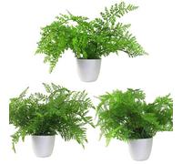 Leaf Design UK Artificial Realistic Potted House Plants,30cm