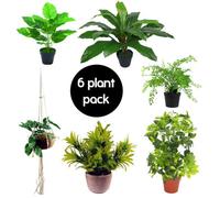 Leaf Pack Of 6 Artificial Mixed Plants