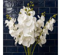 Leaf Pack Of 6 X 100Cm Artificial Phalaenopsis Orchid White Stem