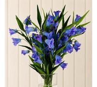Leaf Pack Of 6 X 100Cm Trumpet Artificial Flower Stem Blue