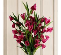 Leaf Pack Of 6 X 100Cm Trumpet Artificial Flower Stem Fuchsia Pink