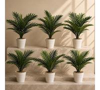 Leaf Pack Of 6 X 50Cm Artificial Mini Palm Tree