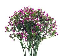 Leaf Pack Of 6 X 55Cm Gypsophila Pink Stem