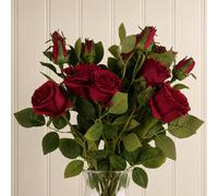 Leaf Pack of 6 x 60cm Artificial Red Rose Flower Premium | Size: 6 x 60 cm Leaf Red 6 x 60 cm