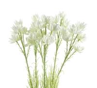 Leaf Pack of 6 x 60cm White Starflower Stem - 30 Flowers - 60cm - White - 6 x 60cm White Starflower