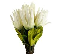 Leaf Pack of 6 x 65cm Artificial Protea Sugarbush Flower Stem White | Size: 6 x 65 cm Leaf White 6 x 65 cm