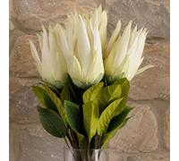Leaf Pack Of 6 X 65Cm Protea Sugarbush Flower Stem - White