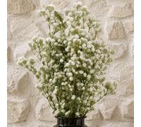 Leaf Pack Of 6 X 85Cm Gypsophila White Stem