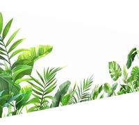 Leaf Paint by Numbers Palm Leaves Paint by Numbers Kits for Adults Beginner DIY Oil Painting Kits with Brushes Acrylic Pigment Drawing on Color Canvas Craft, Home Wall Decor Gifts 30x60cm m1860-22V