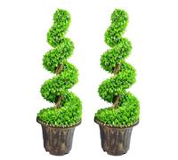 Leaf Pair of Large Artificial Spiral Tree with Decorative Planter