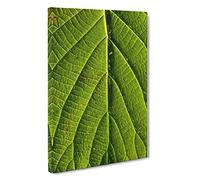 Leaf Pathways Canvas Print | Gallery Wrapped 30mm Frame Wall Art | 30x20 inches | Ready to Hang | Modern Floral Picture | Living Room Bedroom Lounge Office