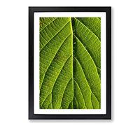 Leaf Pathways Framed Print | A2 Black Framed Wall Art | Ready to Hang | Modern Floral Picture | Living Room Bedroom Lounge Office