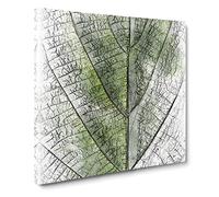 Leaf Pathways Sketch Canvas Print | Gallery Wrapped 30mm Frame Wall Art | 20x20 inches | Ready to Hang | Modern Floral Picture | Living Room Bedroom Lounge Office