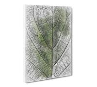 Leaf Pathways Sketch Canvas Print | Gallery Wrapped 30mm Frame Wall Art | 24x16 inches | Ready to Hang | Modern Floral Picture | Living Room Bedroom Lounge Office