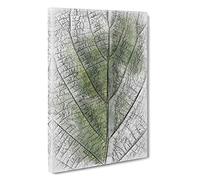 Leaf Pathways Sketch Canvas Print | Gallery Wrapped 30mm Frame Wall Art | 30x20 inches | Ready to Hang | Modern Floral Picture | Living Room Bedroom Lounge Office