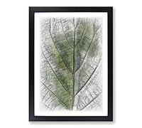 Leaf Pathways Sketch Framed Print | A2 Black Framed Wall Art | Ready to Hang | Modern Floral Picture | Living Room Bedroom Lounge Office