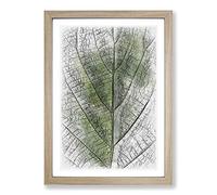Leaf Pathways Sketch Framed Print | A2 Oak Framed Wall Art | Ready to Hang | Modern Floral Picture | Living Room Bedroom Lounge Office