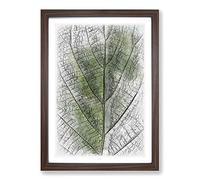 Leaf Pathways Sketch Framed Print | A2 Walnut Framed Wall Art | Ready to Hang | Modern Floral Picture | Living Room Bedroom Lounge Office