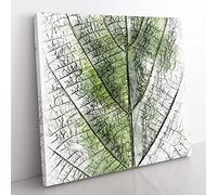 Leaf Pathways Sketch Modern Canvas Wall Art Print Ready to Hang, Framed Picture for Living Room Bedroom Home Office Décor, 35x35 cm (14x14 Inch)