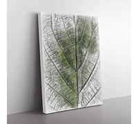 Leaf Pathways Sketch Modern Canvas Wall Art Print Ready to Hang, Framed Picture for Living Room Bedroom Home Office Décor, 50x35 cm (20x14 Inch)