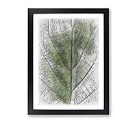 Leaf Pathways Sketch Modern Framed Print | A4 Black Framed Wall Art | Ready to Hang | Modern Floral Picture | Living Room Bedroom Lounge Office