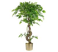 Leaf Realistic Artificial Japanese Fruticosa Ficus Tree