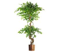 LeafDesign Artificial Ficus Tree Japanese Fruticosa 150cm Twisted Trunk Copper Planter Green