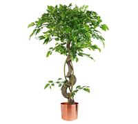 Leaf Realistic Artificial Japanese Fruticosa Ficus Tree, Twisted Copper, 120 cm (4ft)