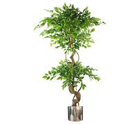 Leaf 150Cm Twisted Trunk Artificial Japanese Fruticosa Ficus Tree Silver Planter, Green