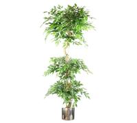 Leaf Realistic Artificial Japanese Fruticosa Ficus Tree with Metal Planters, Green, 180cm