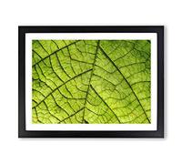 Leaf Roads Painting Modern Art Framed Wall Art Print, Ready to Hang Picture for Living Room Bedroom Home Office Décor, Black A3 (46 x 34 cm)
