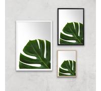 Leaf Section Giclee Art Print - A3 - Print Only