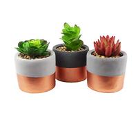 Leaf Set of 3 Mini Ceramic Planters with Artificial Plants