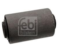 Leaf Spring Suspension FEBI BILSTEIN 42519 for NISSAN