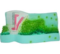 Leaf Structure Model Plant Enlarged Display Anatomical Model, A Visual Teaching Aid for Teaching The Structure of Dicotyledonous Plants, Junior High School Biology Teaching Instrument