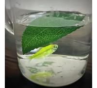 Leaf to Fish Magic Tricks Leaf Vanishes to Fish Appearing Visual Change Magic Stage Production Illusions Gimmicks Props