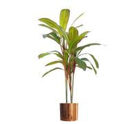 Leaf Tropical Artificial Dracaena Palm Plant Realistic Large Copper Planter 100Cm Botanik