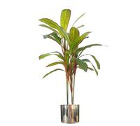 Leaf Tropical Artificial Dracaena Palm Plant Realistic Large Silver Planter 100cm Botanik in Green Leaf Green