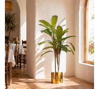 Leaf Tropical Artificial Palm Plant, Dracaena Large Gold, 100cm