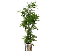 Leaf Tropical Artificial Plants with Planters