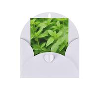 Leaf With Rain Print Blank Greeting Cards, Love Buttons, Pearl Paper Envelopes Suitable For Various Occasions - Anniversary Cards, Thank You Cards, Holiday Cards, Wedding Cards, Congratulations, And