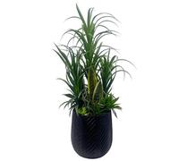 Leaf XL Commercial Artificial Plant Displays