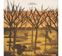 Leafcutter John - The Forest and the Sea [VINYL]
