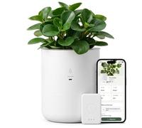 LeafyPod 8 Inch Smart Self Watering Planter with WiFi Bridge & App Control - AI Plant Care System with Sensors, Automatic Watering, Alerts - Modern Indoor Planter for Houseplants | Cordless