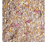 Leagrams 25.1Kg Premium No Mess Seed Mix Wild Bird Food