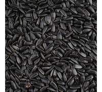Leagrams Black Sunflower Seeds for Wild Birds (25.1kg) - Rich in Protein & Oil, High-Energy Bird Food