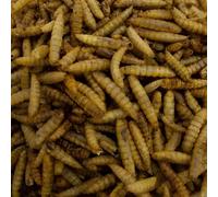 Leagrams Calci Worms for Wild Birds (5kg)
