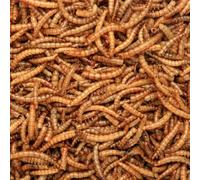 Leagrams Dried Mealworms - High Energy Protein Rich Premium Wild Bird Food (5kg)