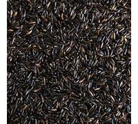 Leagrams High Energy Niger Seed Wild Bird Food (5kg) | Nyger/Nyjer/Thistle Feed for Finches & Small Garden Birds