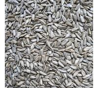 Leagrams Jumbo Sunflower Hearts for Wild Birds, Shell-free, High Oil Content, 14-16mm, No Mess, Bakery Grade (12.55kg)
